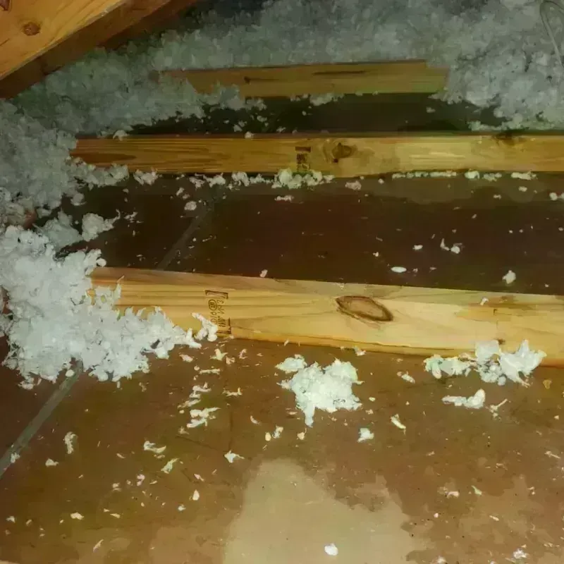 Attic Water Damage in Rockport, TX