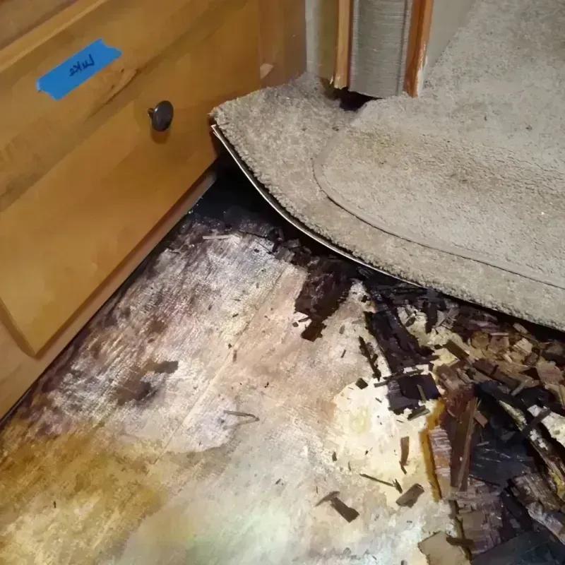 Wood Floor Water Damage in Rockport, TX